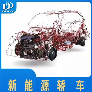 新能源轿车领域